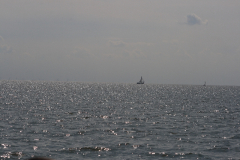MG_0221