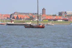 MG_0228