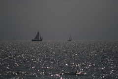 MG_0250