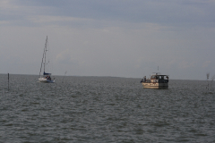 MG_0252