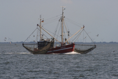 MG_0258