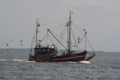 MG_0260