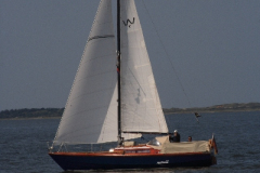 MG_0267