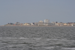 MG_0326