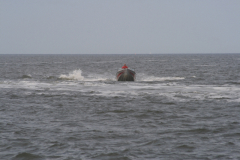 MG_0335