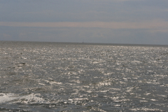 MG_0363