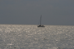 MG_0446