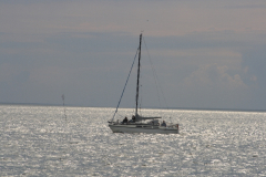 MG_0455