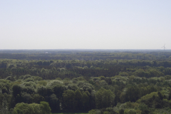 CIMG0054