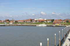 CIMG3131