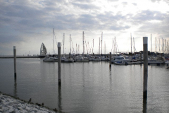 DSCN0133