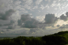 PICT2538