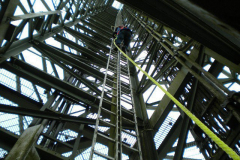DSCN1264