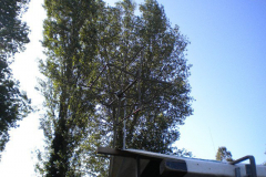 DSCN1963