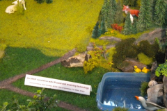 DSCN1686
