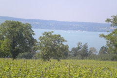 DSCN1707