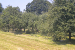 DSCN1714