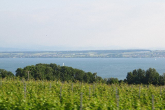 IMG_1340