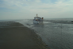 IMGP1754