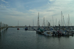 IMGP1755