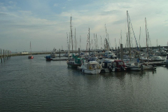 IMGP1756