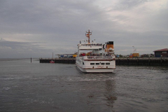 IMGP1799