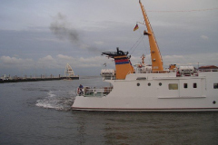 IMGP1808