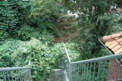 DSC01533