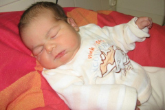 2010 - Start ins neue Jahrzehnt
