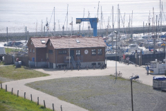 DSC_1186