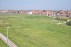 DSC_1188