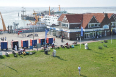DSC_1201