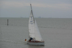 ILLW_Juist_2011_008