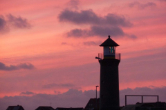 ILLW_Juist_2011_020