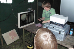 Hewlett-Packard
