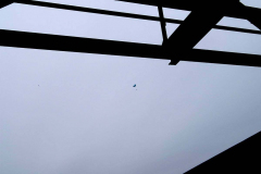 KONICA MINOLTA DIGITAL CAMERA