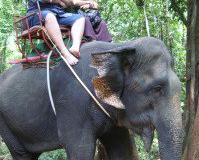 2012 - HS0ZKJ_DD1GO_Thailand_02_2012