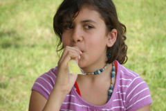 KONICA MINOLTA DIGITAL CAMERA