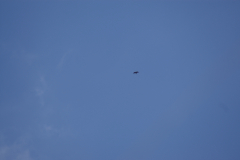 KONICA MINOLTA DIGITAL CAMERA