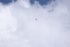 KONICA MINOLTA DIGITAL CAMERA