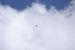 KONICA MINOLTA DIGITAL CAMERA