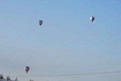 IMG_3706