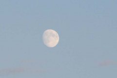 IMG_0005