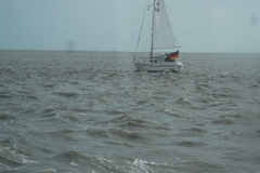 DSCF6154