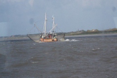 DSCF6159