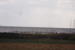 DSCF6178