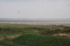 DSCF6179