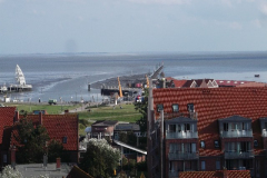 DSCF6192