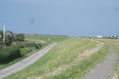 DSCF6217