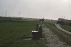 DSCF6223